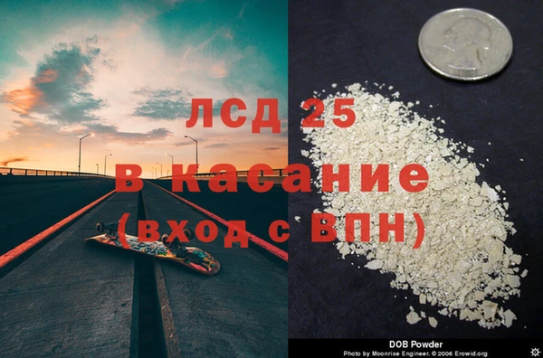 стаф Бородино