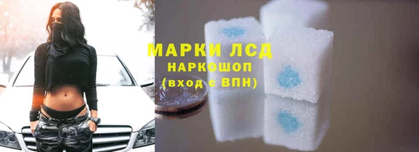 стаф Бородино