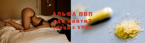 шишки Верея