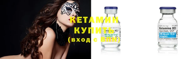 шишки Верея