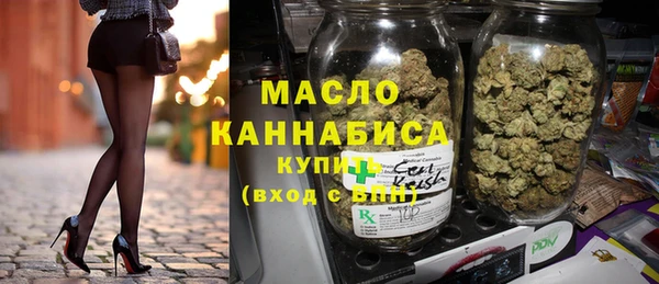 индика Верхний Тагил