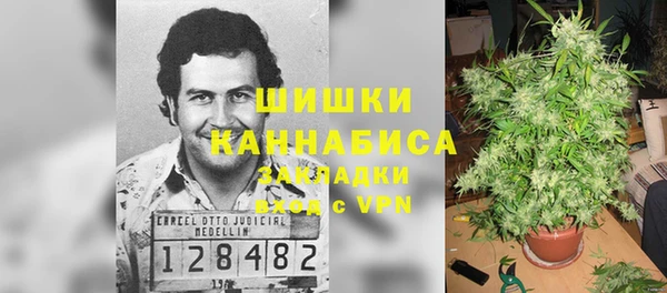 стаф Бородино