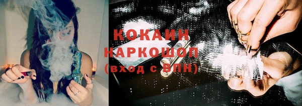 стаф Бородино