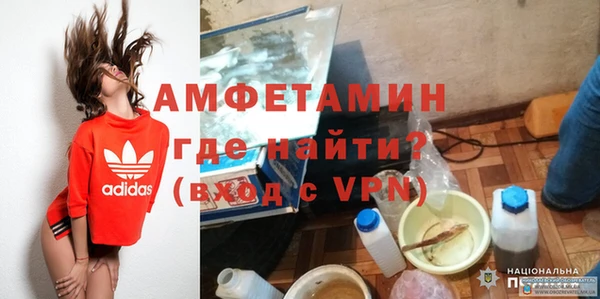 шишки Верея