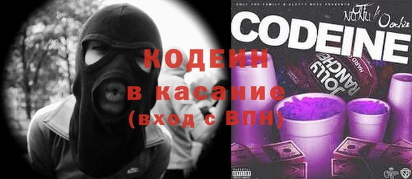 индика Верхний Тагил