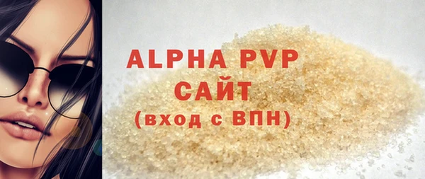стаф Бородино