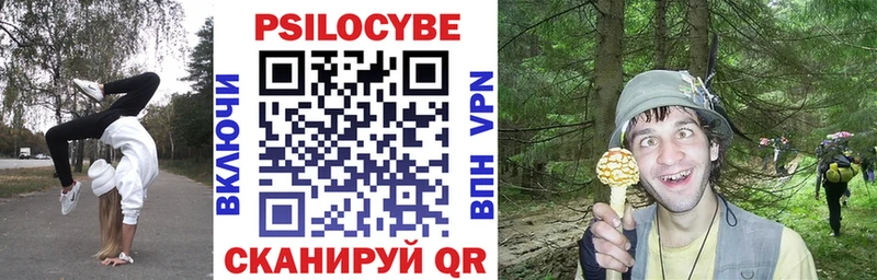 Псилоцибиновые грибы Cubensis  Трёхгорный 
